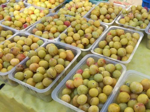 Bon Plan : des centaines d’emplois saisonniers cet été en...